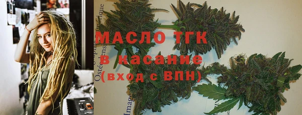 шишки Вяземский